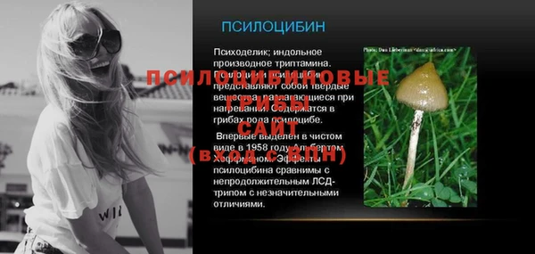 сатива Краснотурьинск