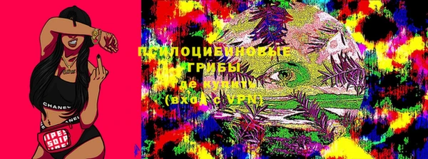 сатива Краснотурьинск
