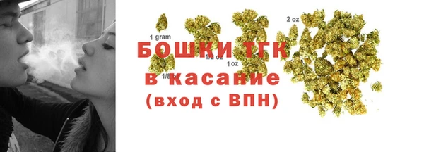 сатива Краснотурьинск