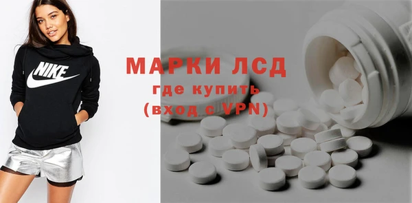 сатива Краснотурьинск
